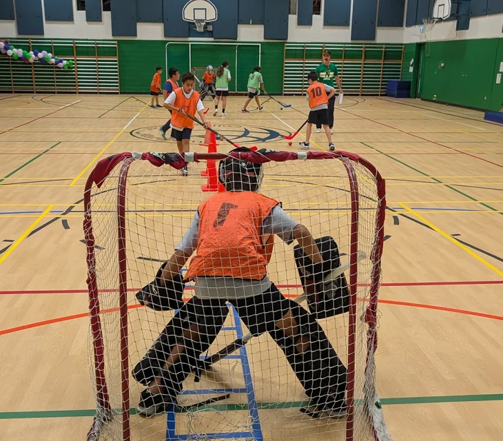 Hockey Cosom